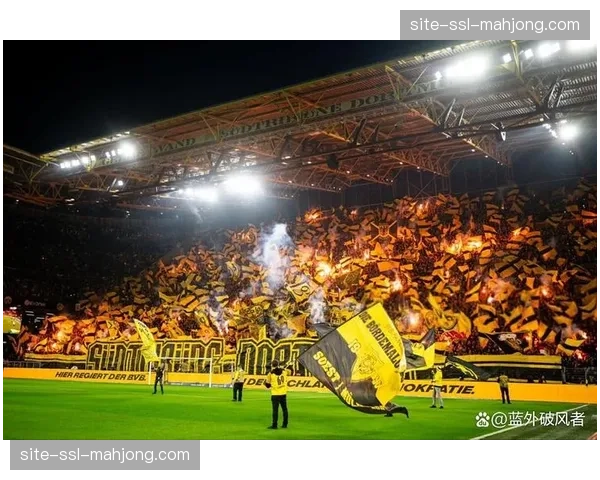 比赛因球迷投掷烟火中断十分钟，主裁判警告将取消比赛